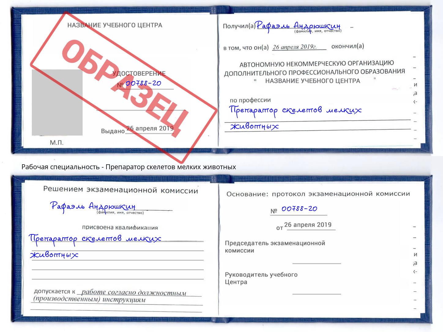 Препаратор скелетов мелких животных Нижнекамск