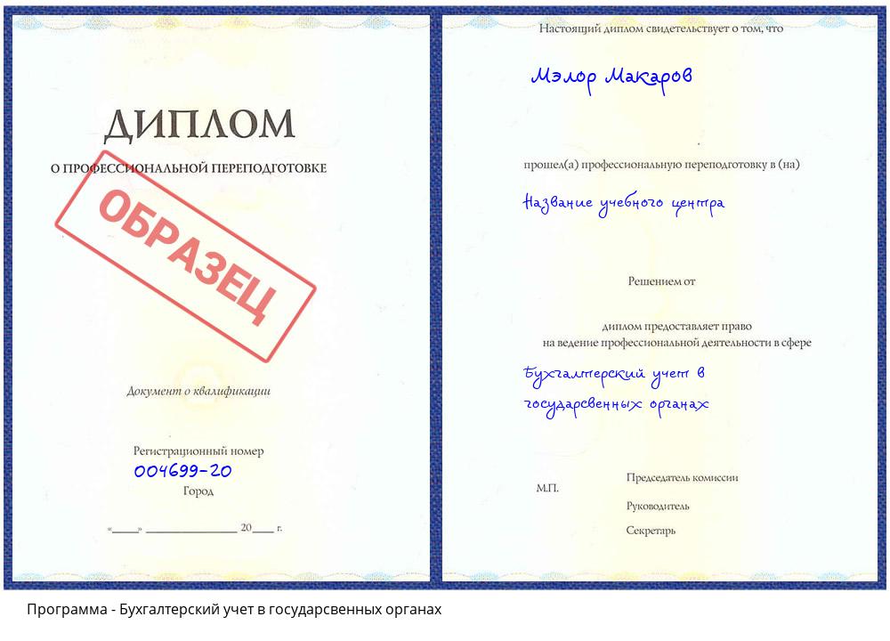 Бухгалтерский учет в государсвенных органах Нижнекамск