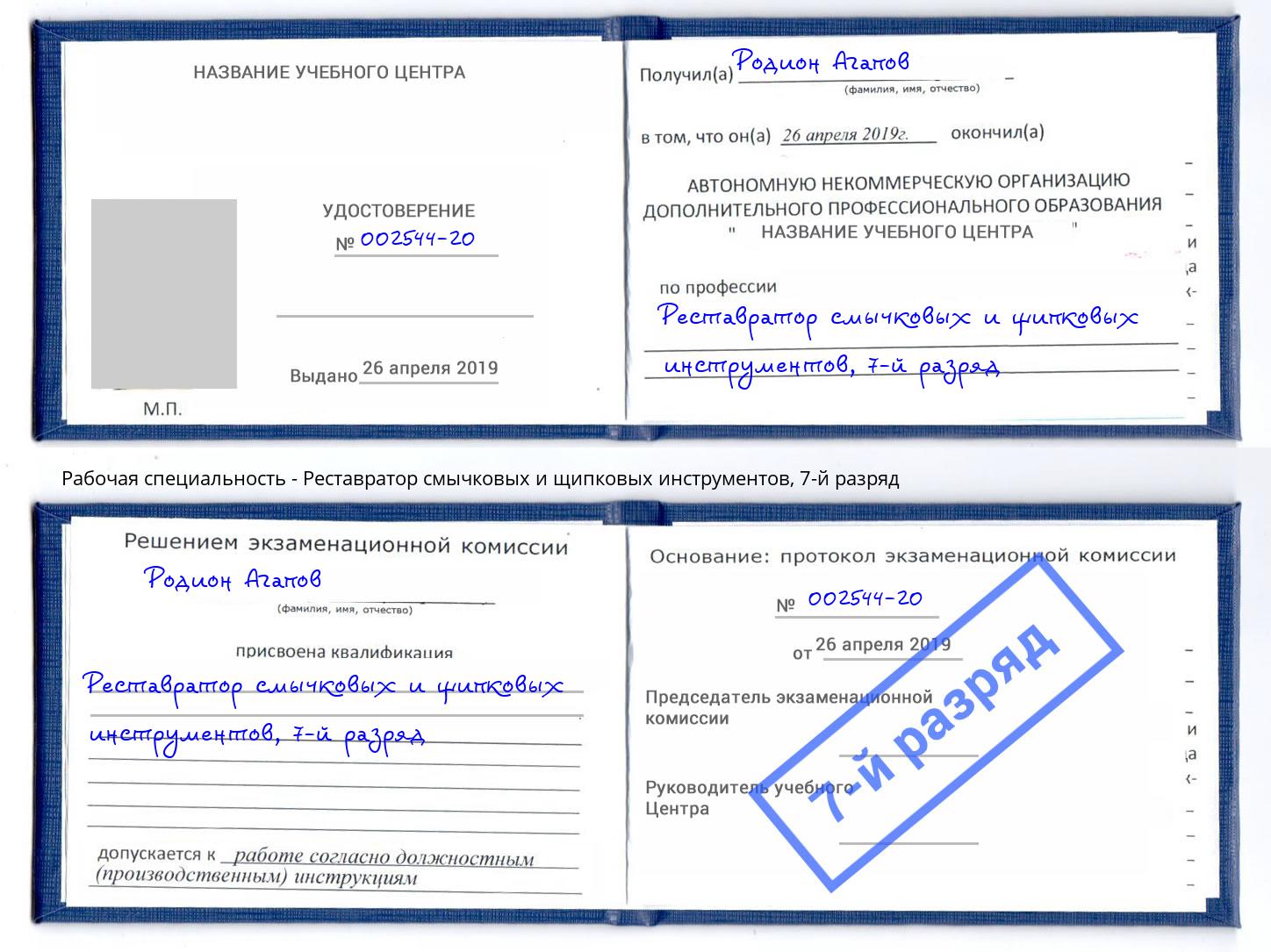 корочка 7-й разряд Реставратор смычковых и щипковых инструментов Нижнекамск