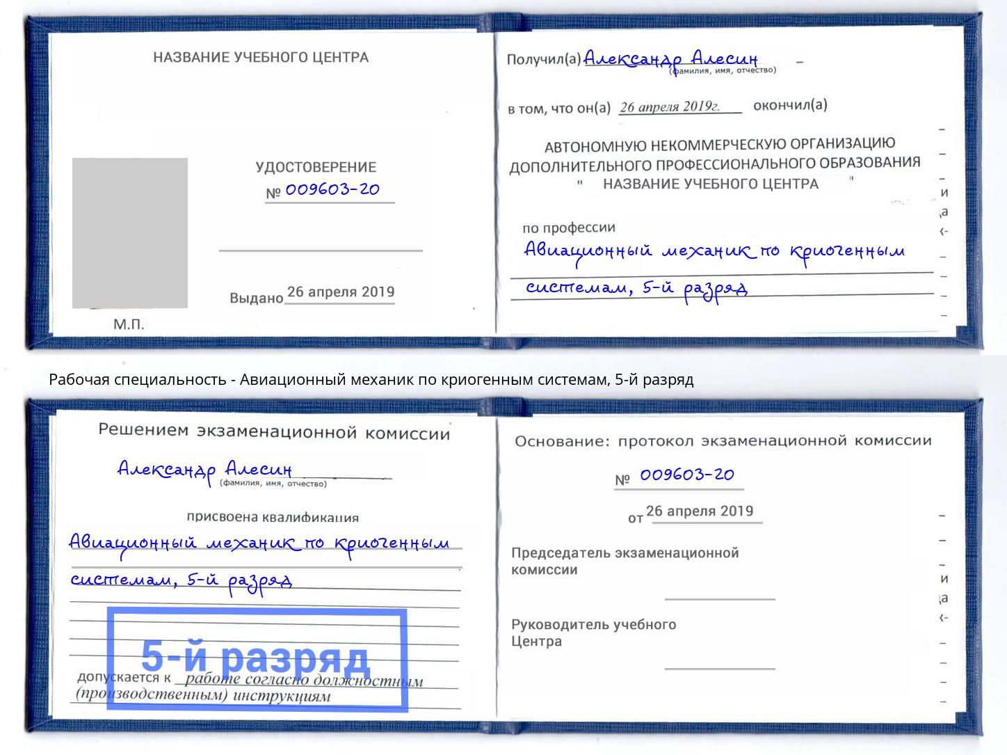 корочка 5-й разряд Авиационный механик по криогенным системам Нижнекамск