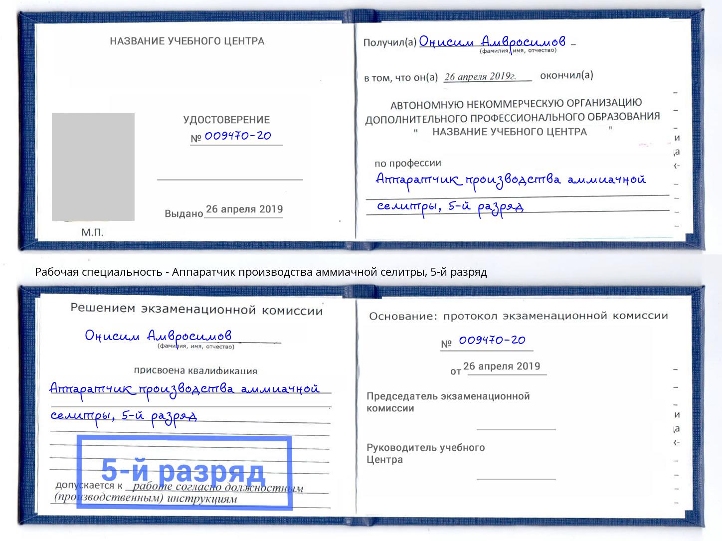 корочка 5-й разряд Аппаратчик производства аммиачной селитры Нижнекамск