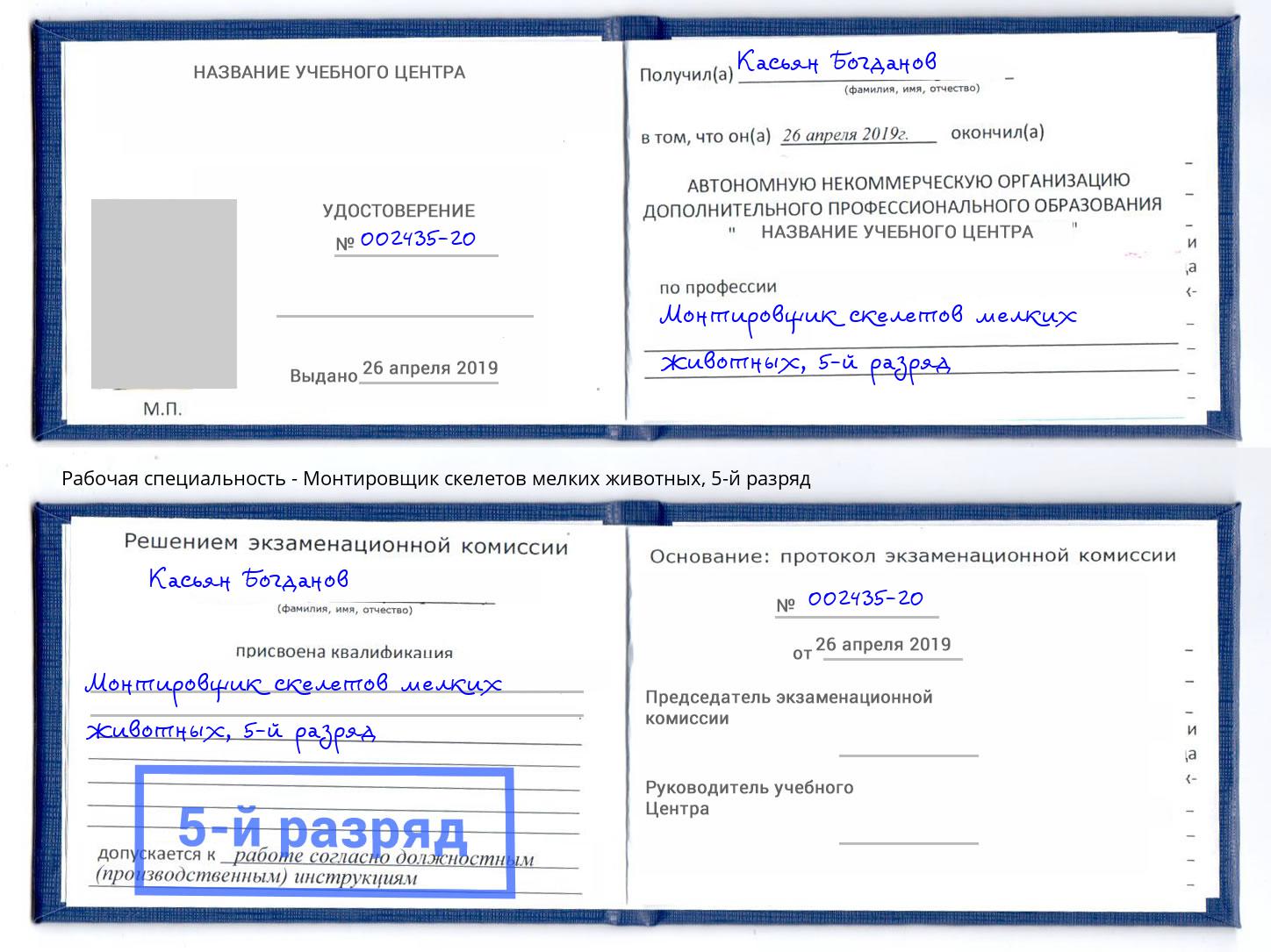 корочка 5-й разряд Монтировщик скелетов мелких животных Нижнекамск