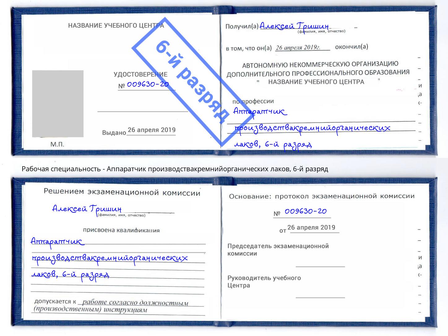 корочка 6-й разряд Аппаратчик производствакремнийорганических лаков Нижнекамск