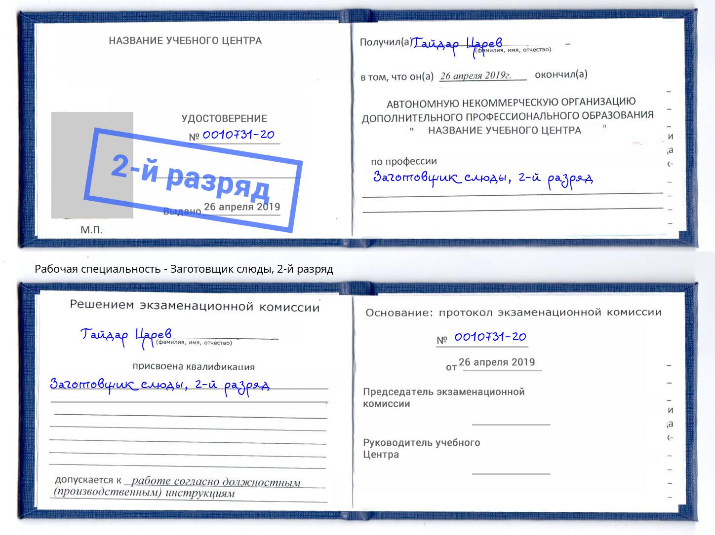 корочка 2-й разряд Заготовщик слюды Нижнекамск