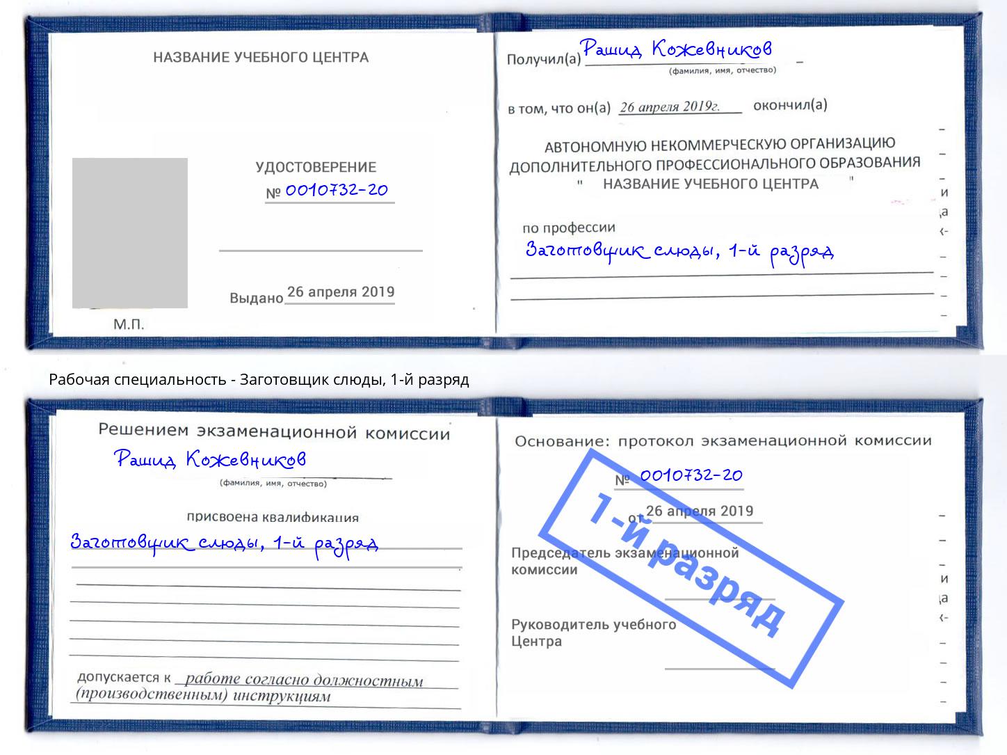корочка 1-й разряд Заготовщик слюды Нижнекамск