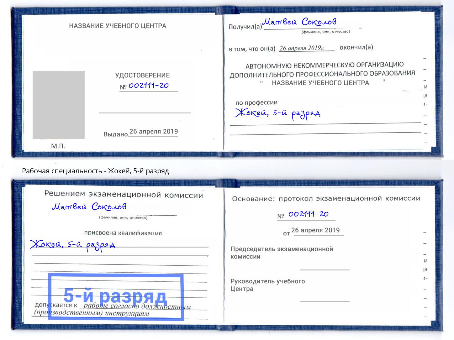 корочка 5-й разряд Жокей Нижнекамск