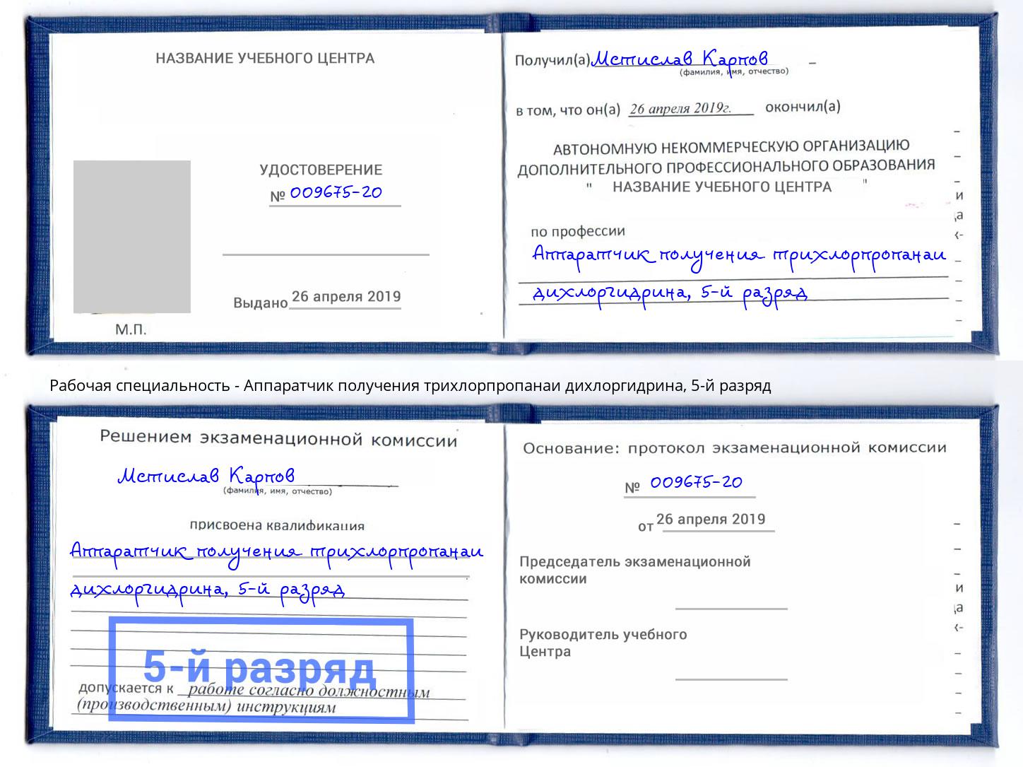 корочка 5-й разряд Аппаратчик получения трихлорпропанаи дихлоргидрина Нижнекамск