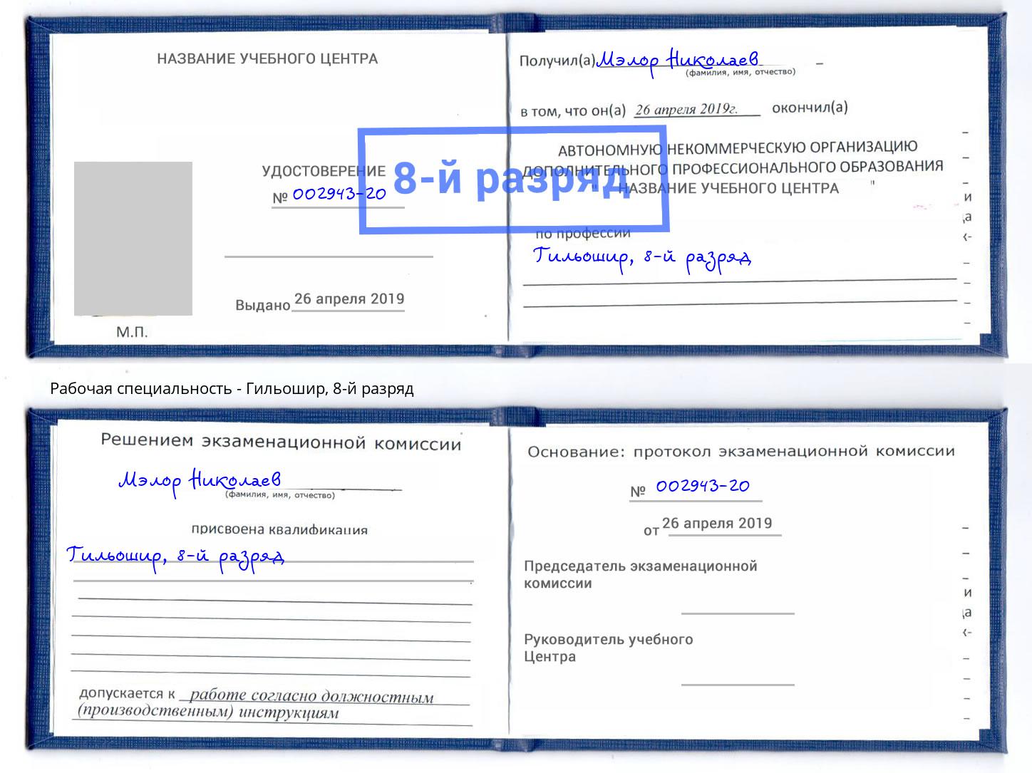 корочка 8-й разряд Гильошир Нижнекамск